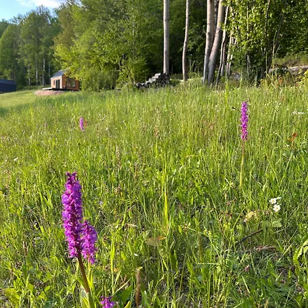 Διαμέρισμα Challet94