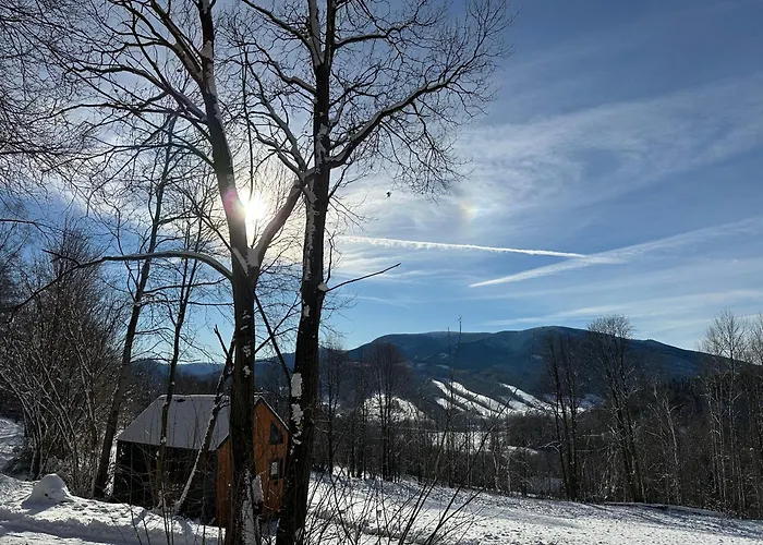 Challet94 耶塞尼克